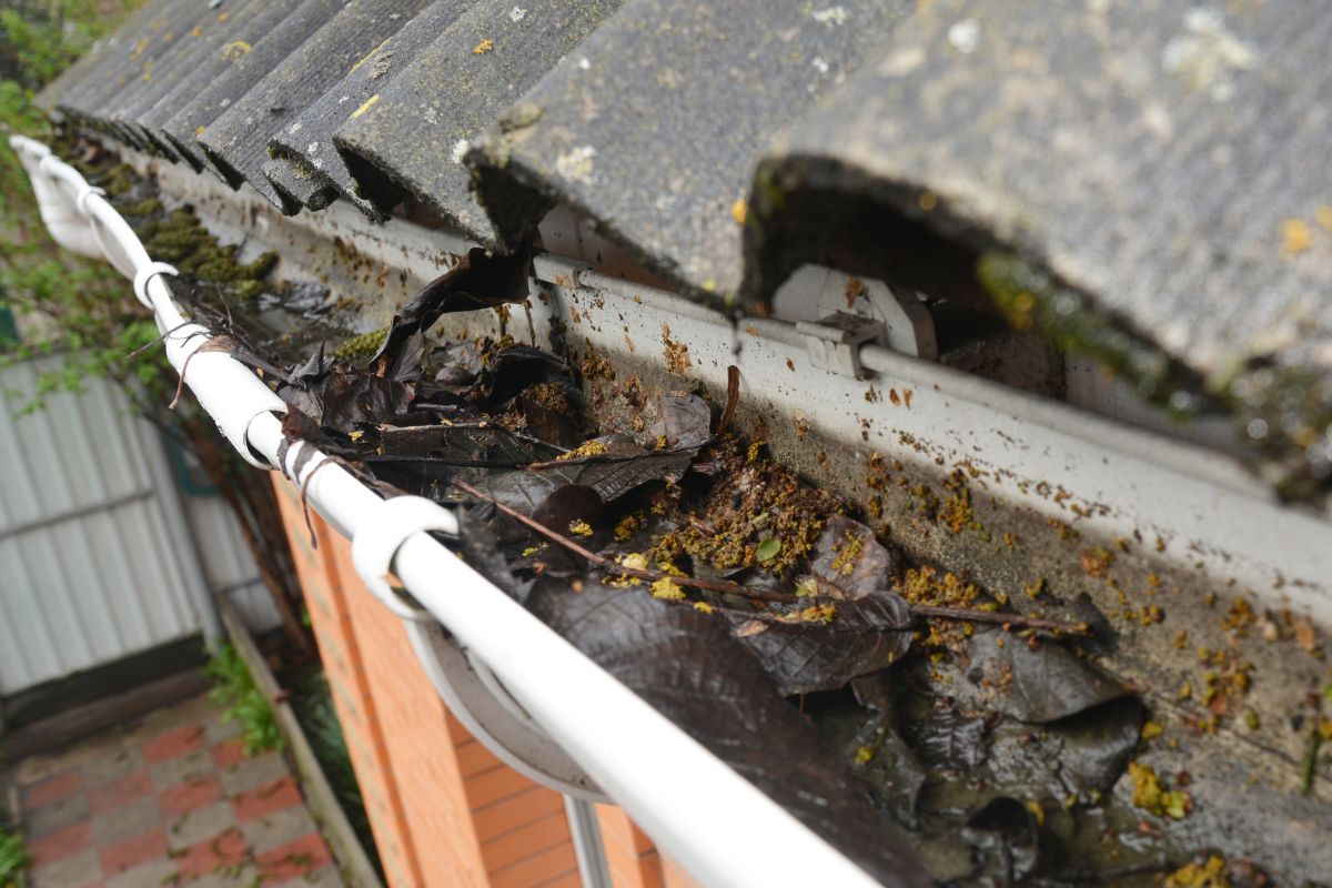 Gutter Debris