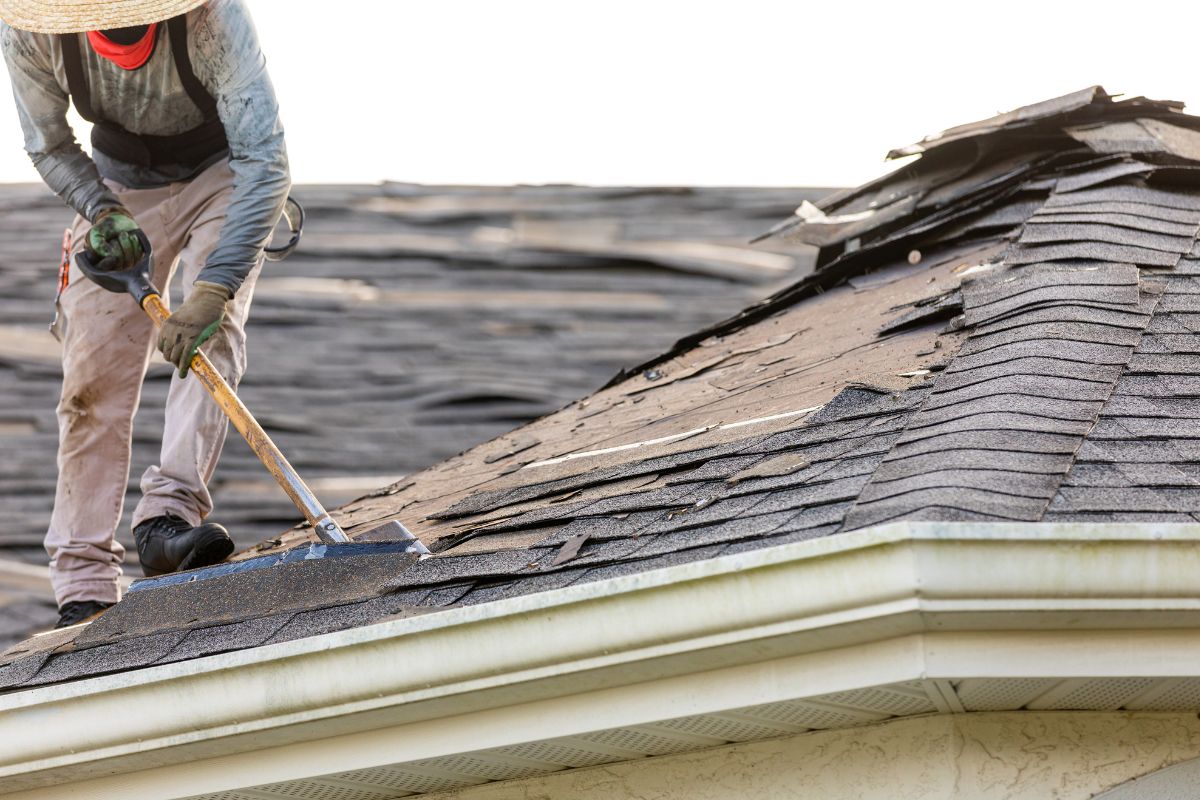 Damaged Roof Shingles