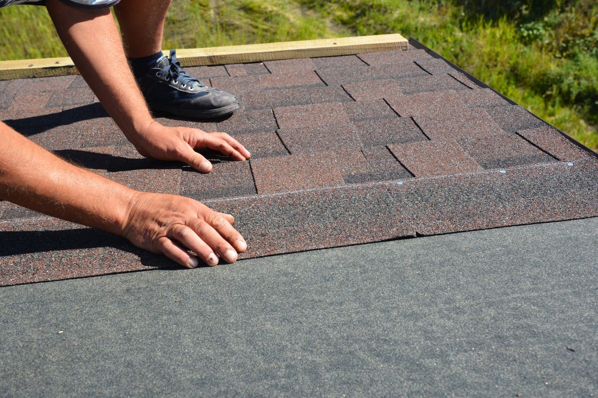 Roof Shingles