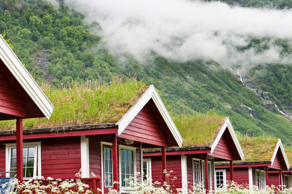 Green Roofs