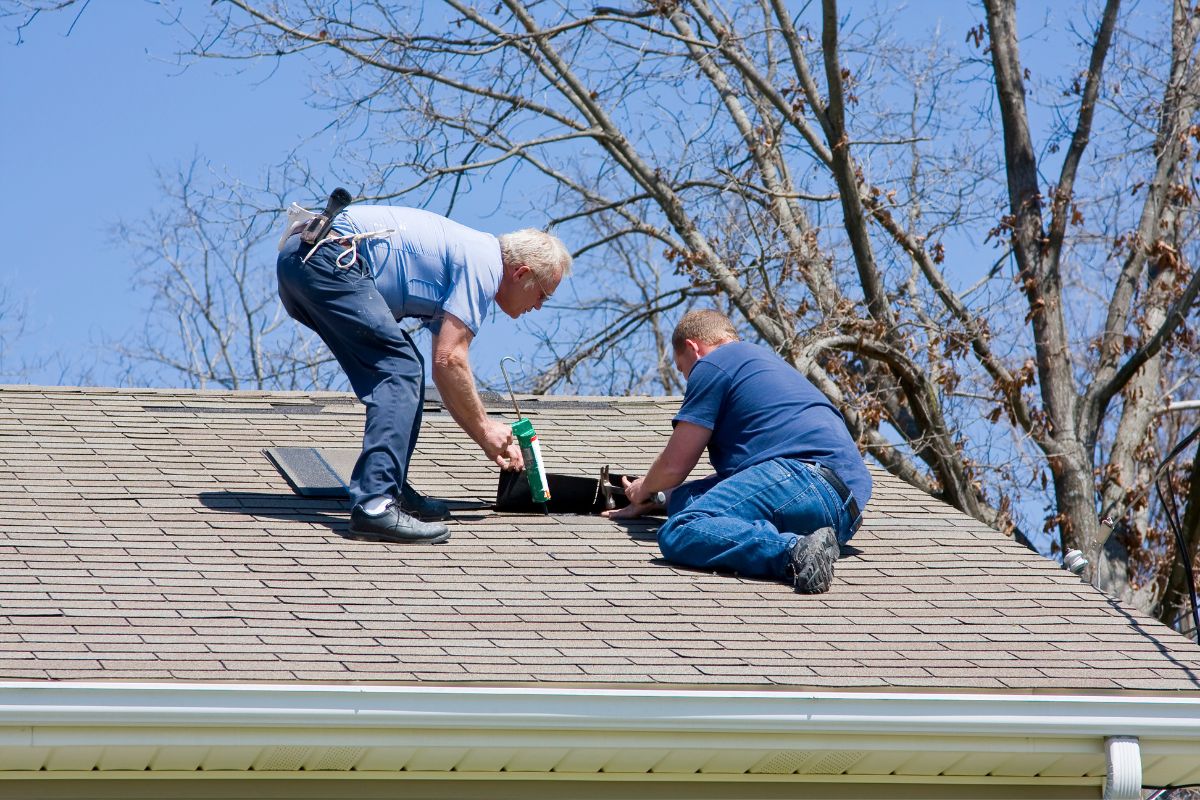 Roof Leak Signs