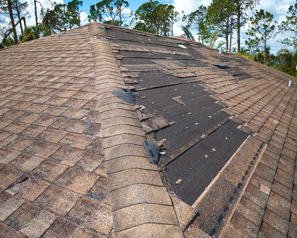 Roof Replacement