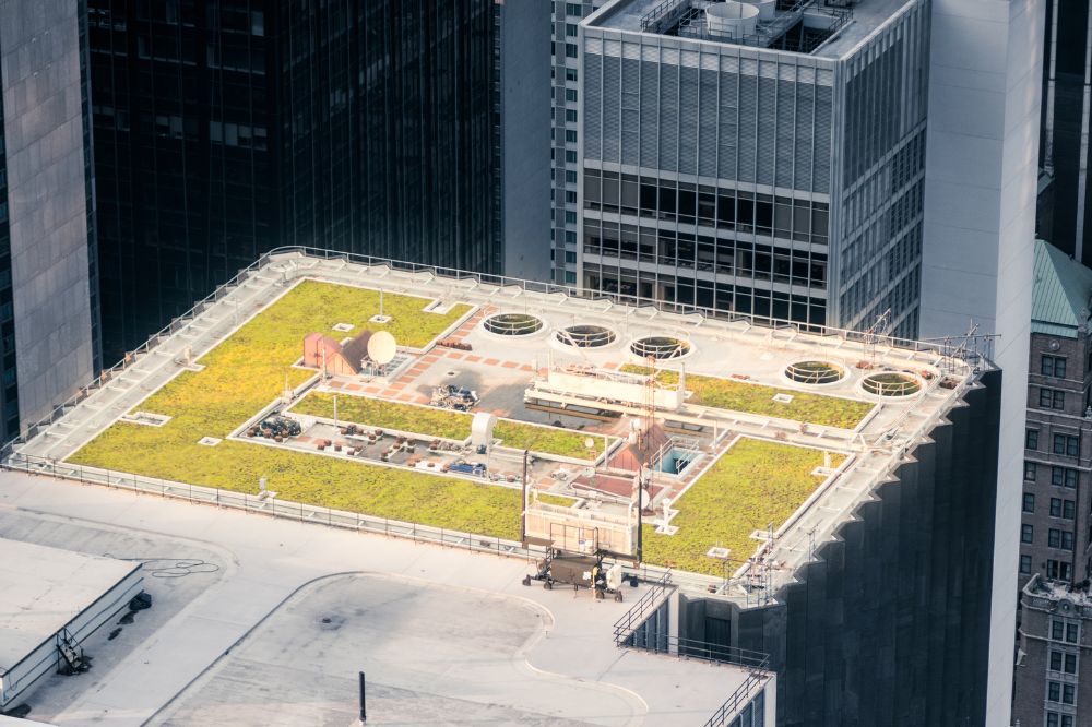 Green Roofs in Commercial Building